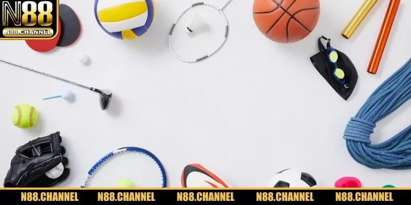 Sơ lược thông tin hiểu rõ hơn về sảnh thể thao N88